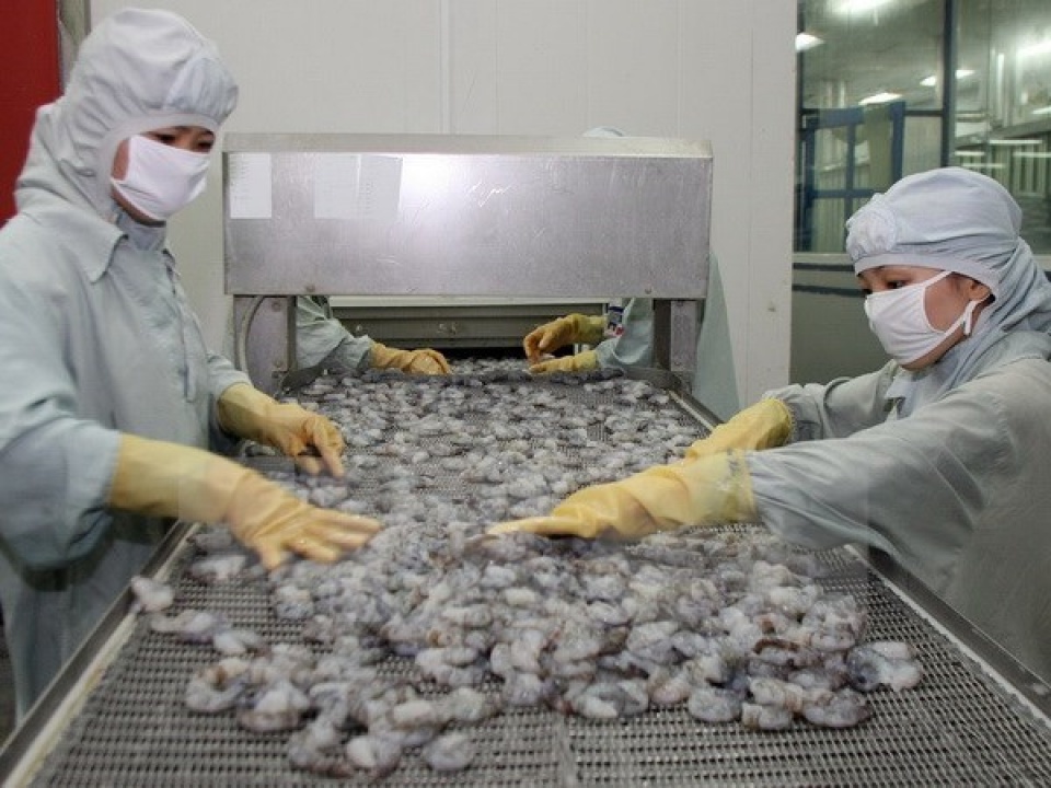 australia eases shrimp import suspension
