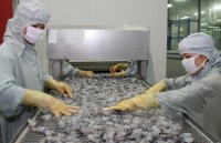 chinese market promising for vietnams shrimps as exports surge 30