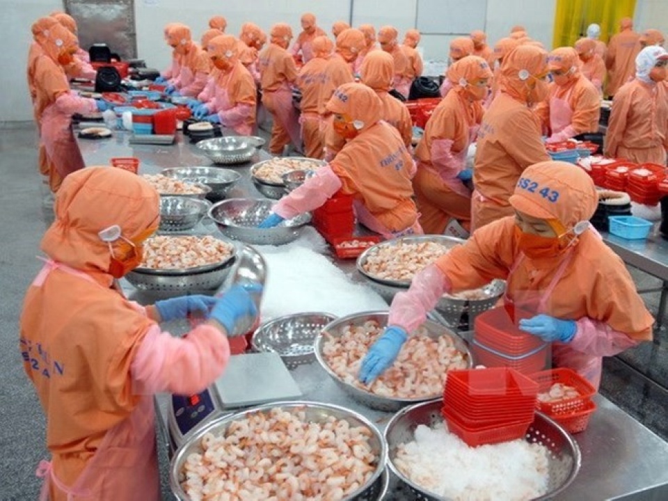 vietnam becomes largest shrimp provider in rok