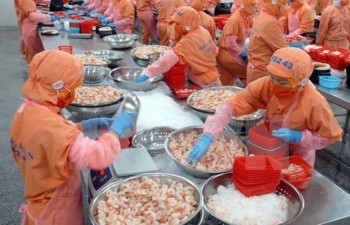 Vietnam becomes largest shrimp provider in RoK