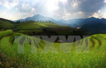 Tourism insiders seek ways to attract more foreigners to Vietnam