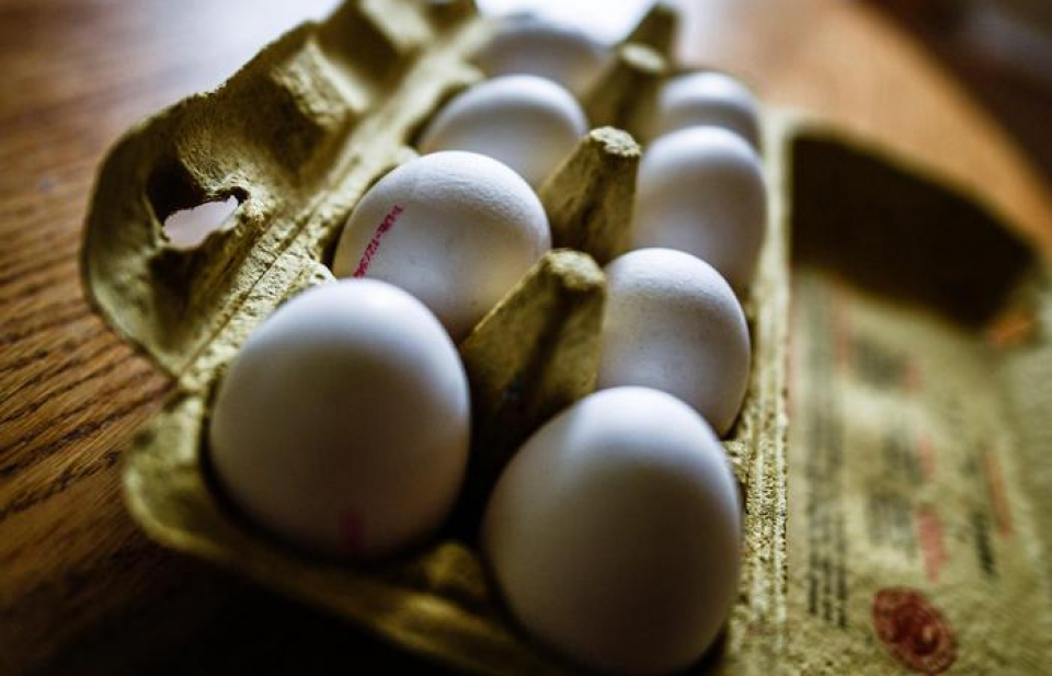 Italy thu giữ sản phẩm của công ty Pháp liên quan vụ trứng gà nhiễm Fipronil