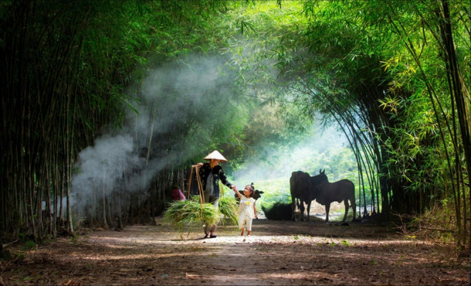 vietnam through lens of zing photo contestants