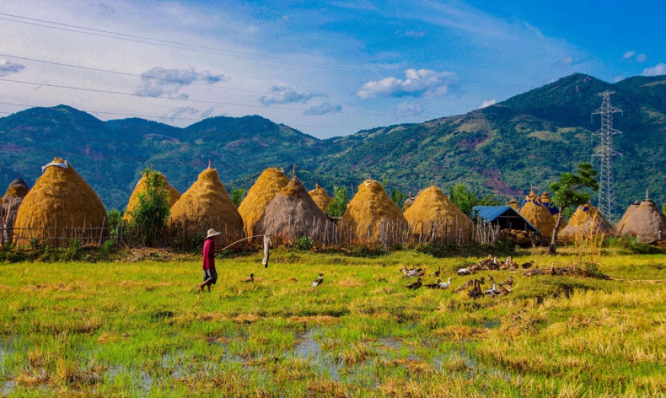 vietnam through lens of zing photo contestants