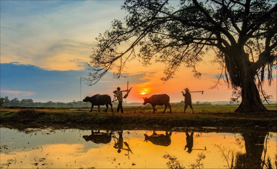 vietnam through lens of zing photo contestants