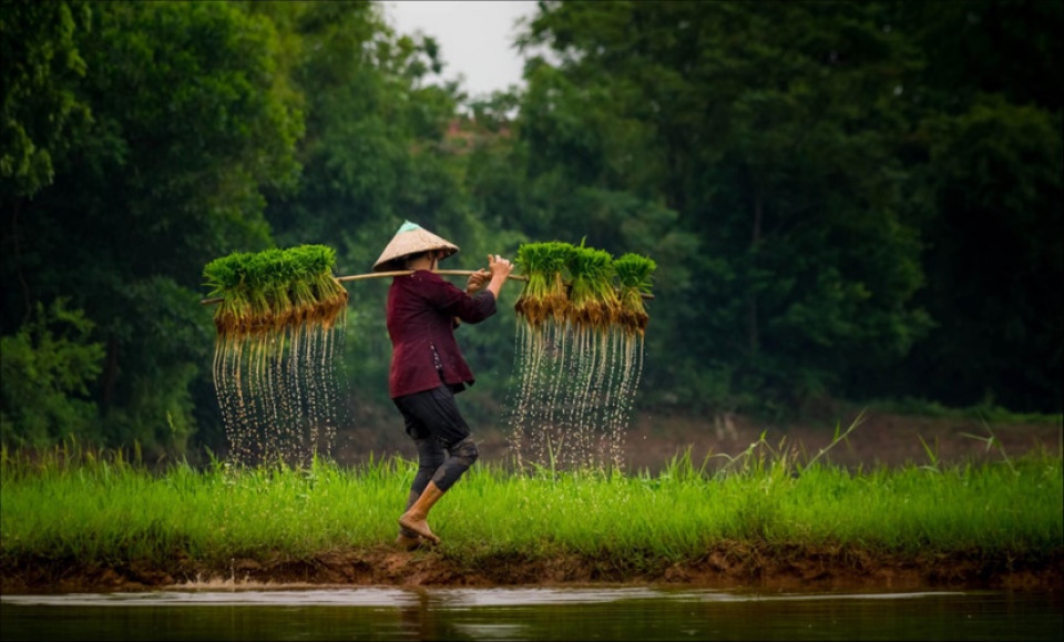 vietnam through lens of zing photo contestants