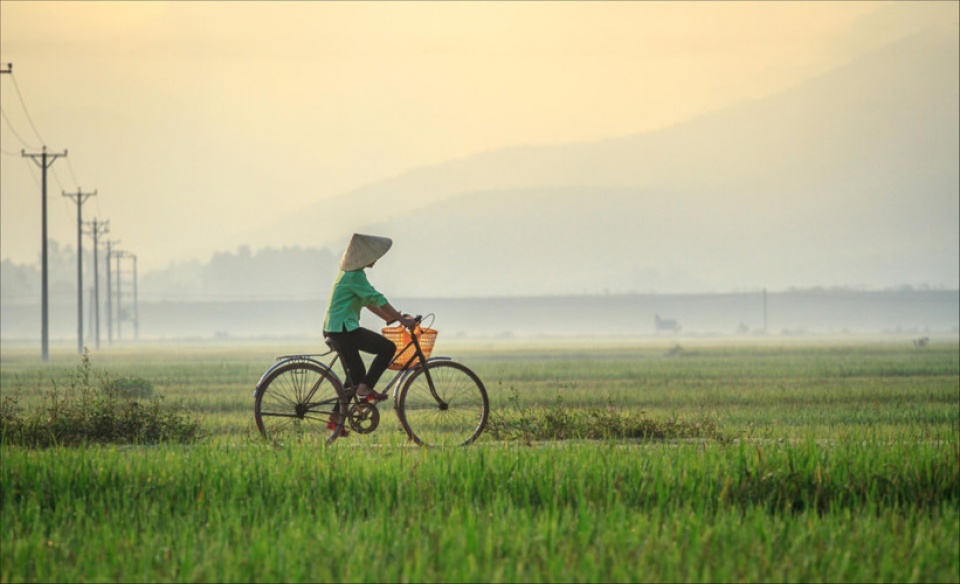 vietnam through lens of zing photo contestants