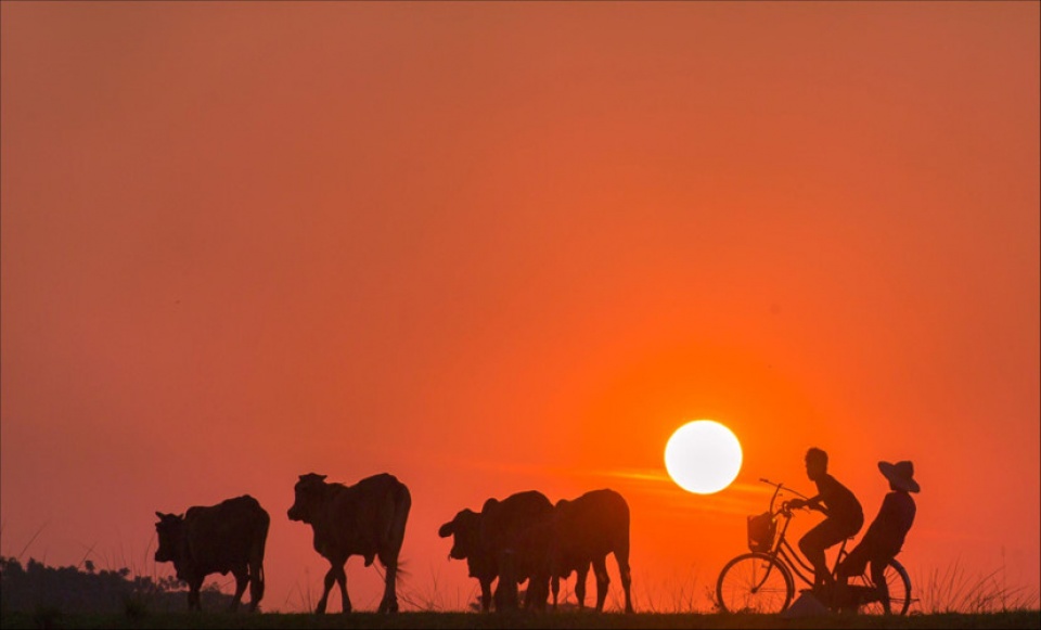 vietnam through lens of zing photo contestants