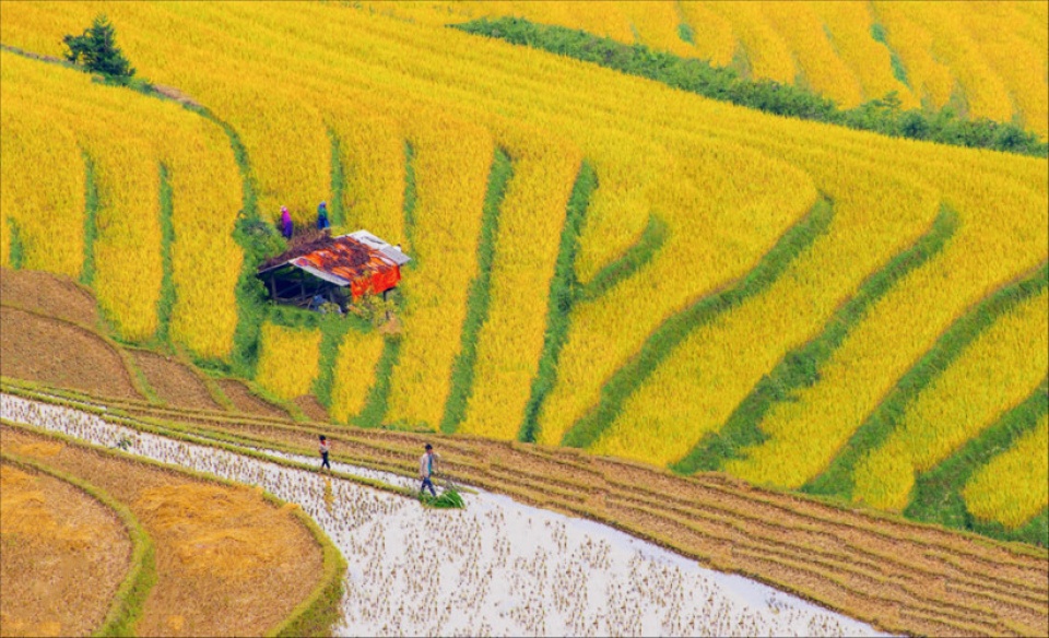 vietnam through lens of zing photo contestants