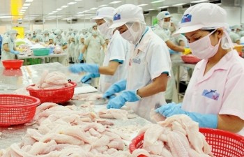 Businesses optimistic over US inspection of Vietnam’s tra fish