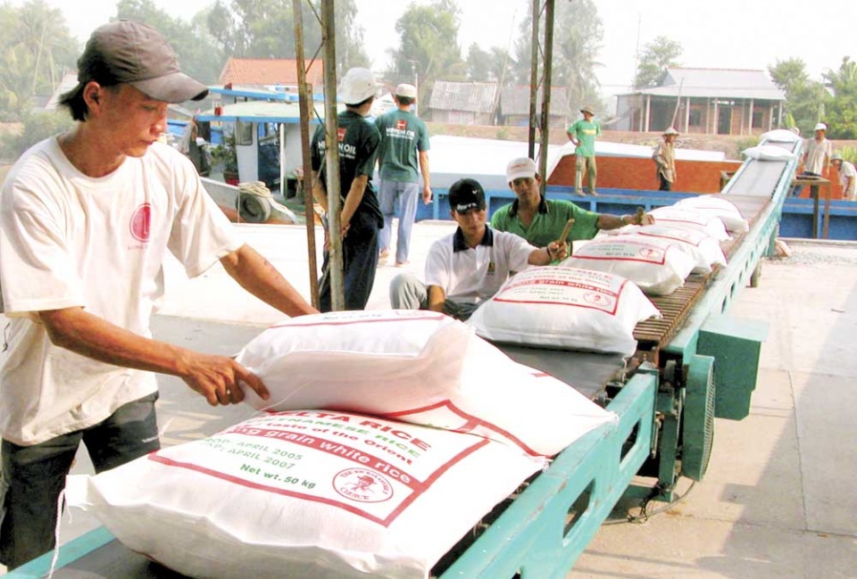 mekong delta region enjoys 35 billion usd trade surplus in six months