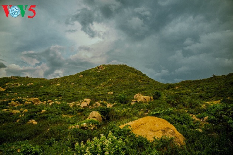 binh ba island a pleasant beauty