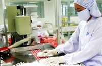 vietnamese chinese police team up to investigate drug production ring