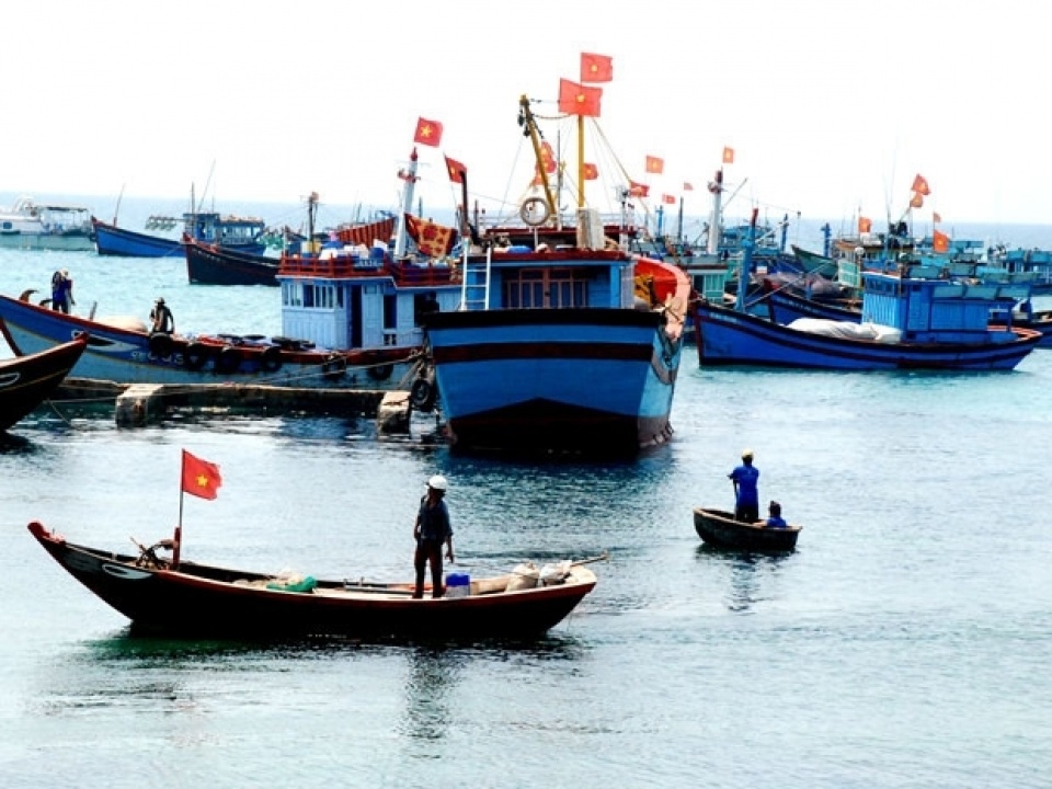 vasep highlights risk of iuu fishing