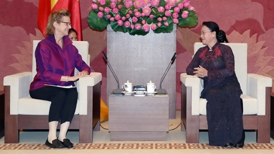 na chairwoman receives new undp country director for vietnam