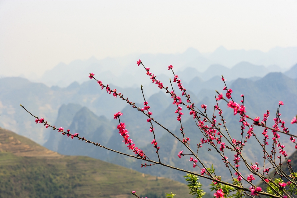 ban linh ngoai giao va tam nhin chien luoc