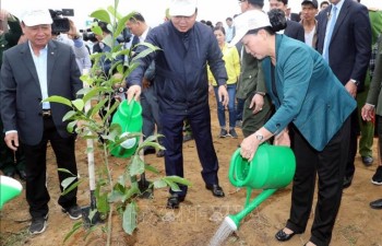 Chủ tịch Quốc hội tham dự Lễ ra quân hưởng ứng Tết trồng cây tại Hòa Bình