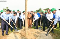 thu tuong nguyen xuan phuc chu tri cuoc hop day manh thu mua lua gao