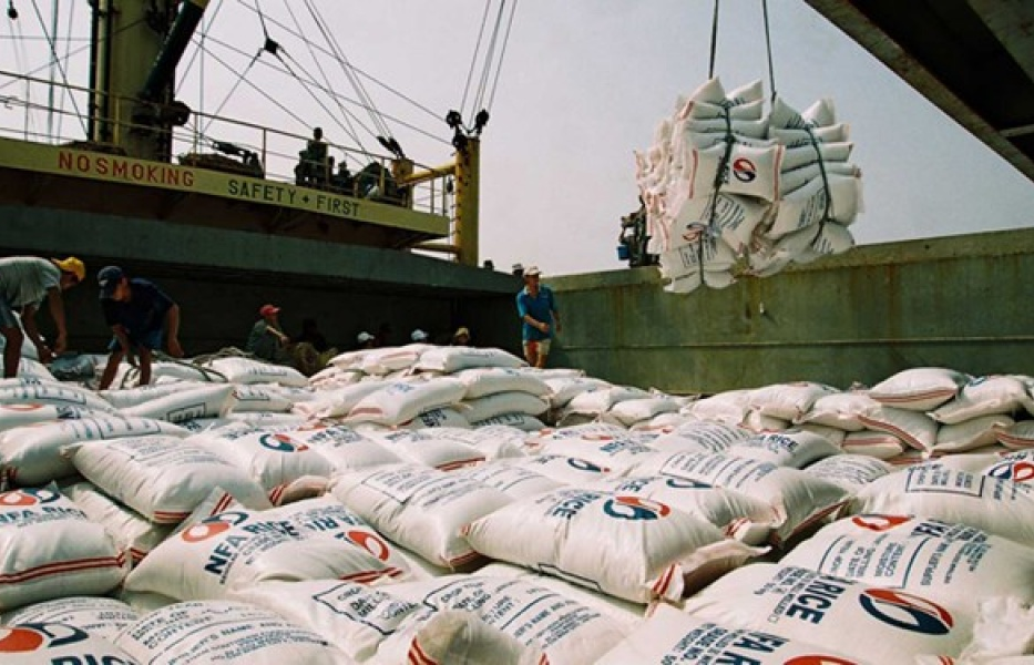 Italy: Nông dân quan ngại về gạo nhập khẩu từ Đông Nam Á