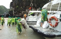 nhung bai bien hoang vang tha ho song ao o quang ninh