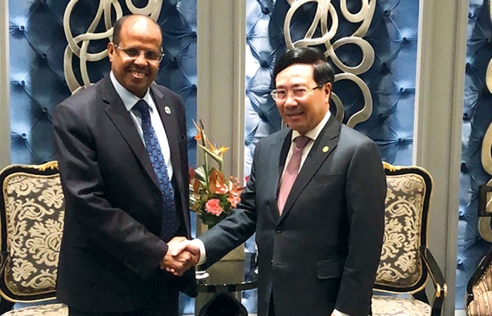 Phó Thủ tướng Phạm Bình Minh gặp Bộ trưởng Ngoại giao Djibouti Mahmoud Ali Yossouf