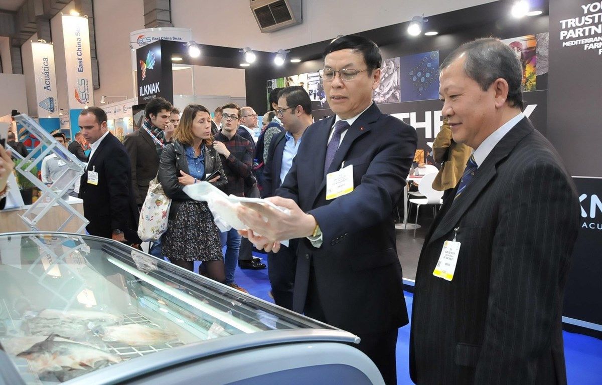 ambassador vu quang anh evfta brings much needed prosperity and stability