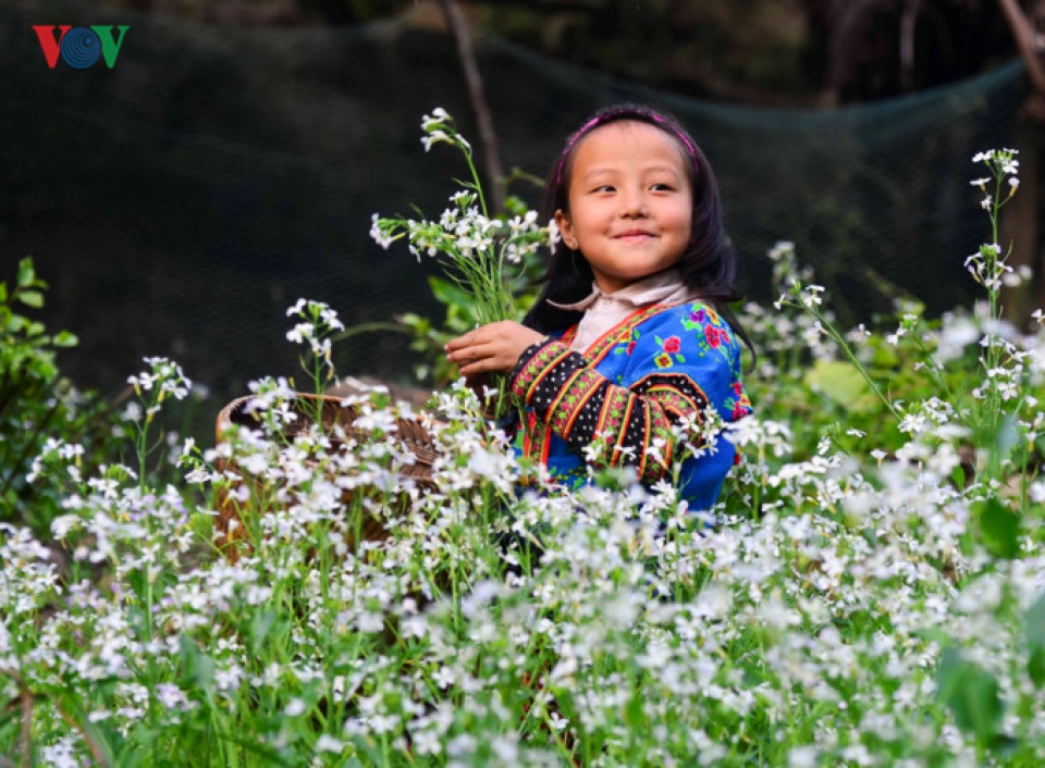 innocence of vietnams mountainous children