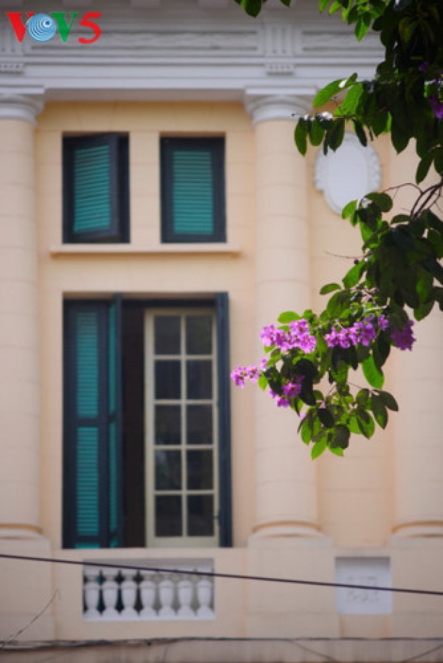 colorful flowers in hanoi summer