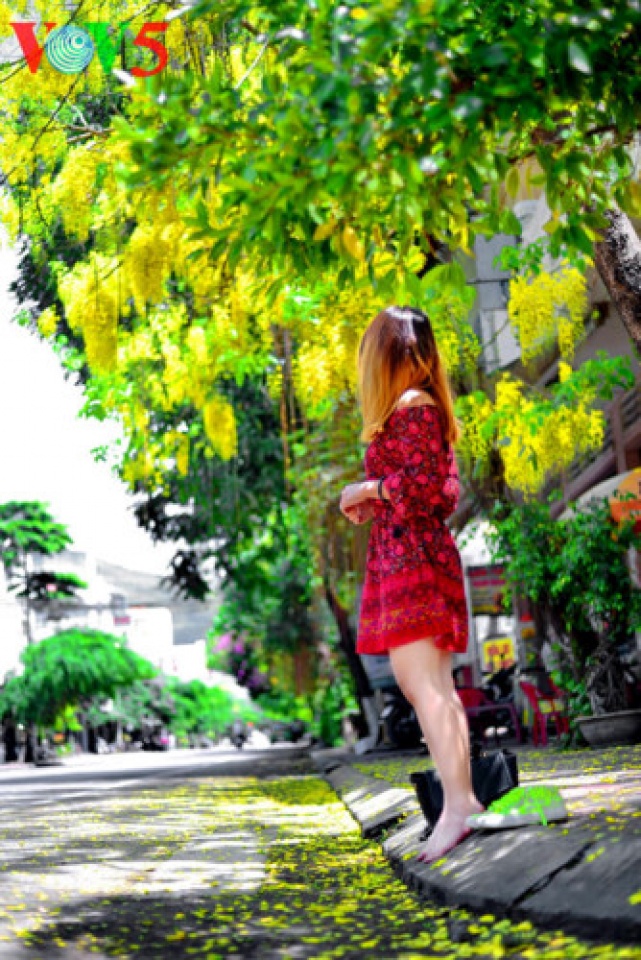 colorful flowers in hanoi summer