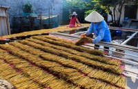 pho hien folk cultural festival kicks off in hung yen