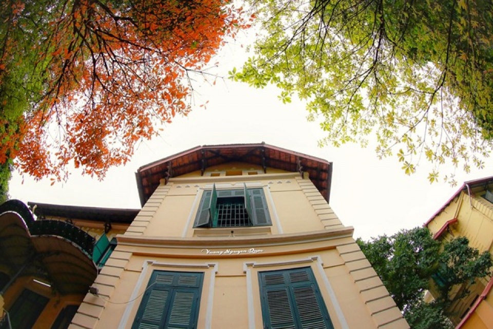 hanoi in young leaf season