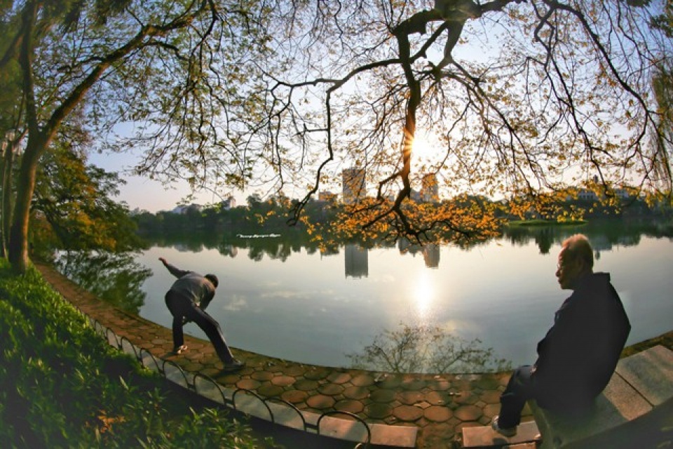 hanoi in young leaf season