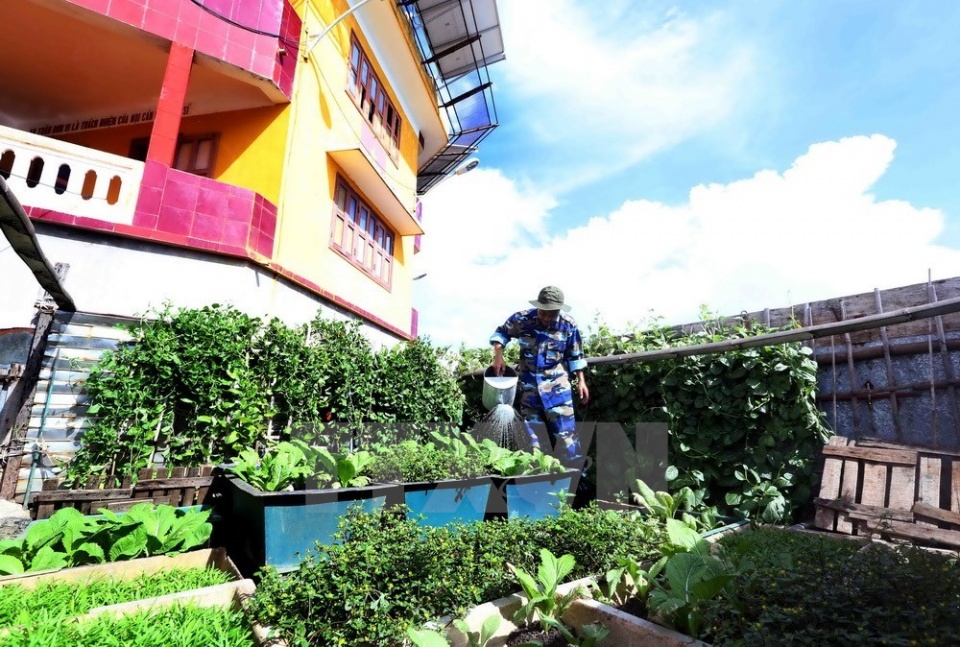 vegetable gardens green truong sa archipelago