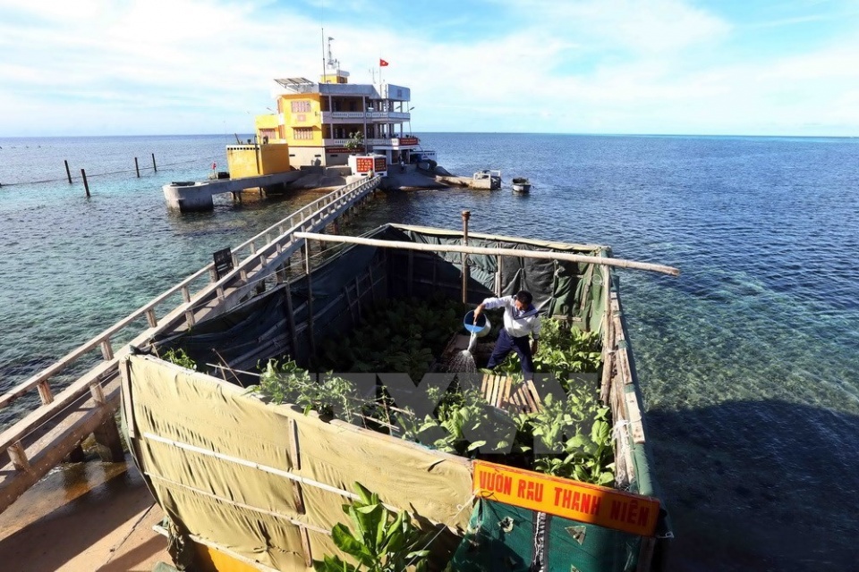 vegetable gardens green truong sa archipelago