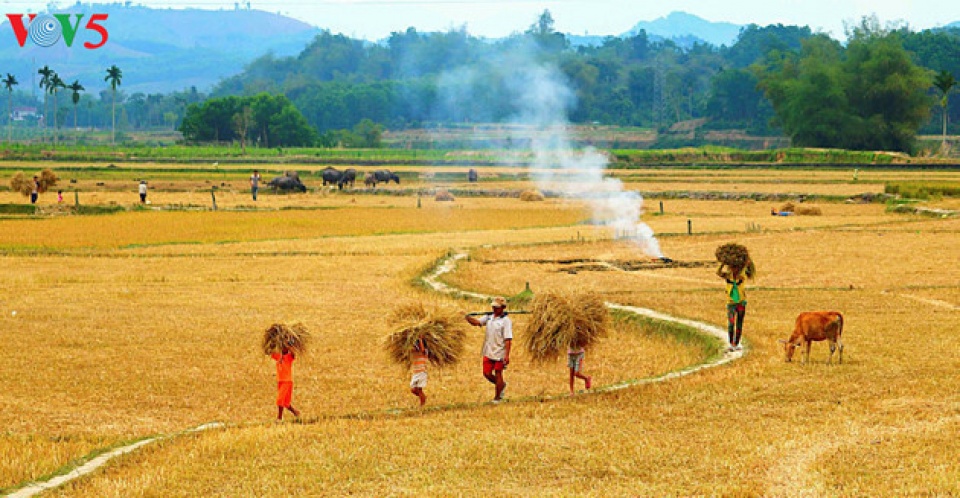 happiness felt in families in vietnam