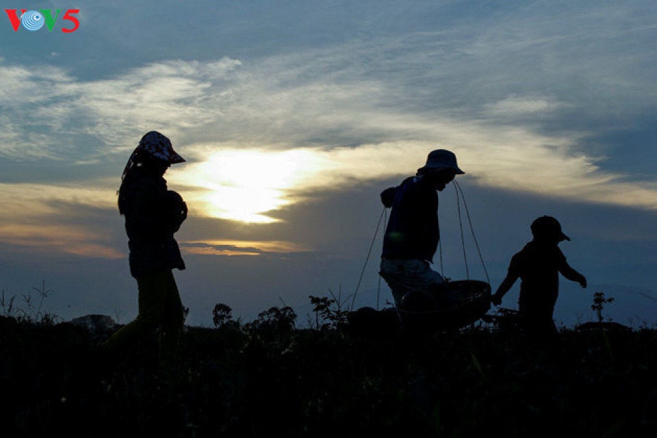 happiness felt in families in vietnam