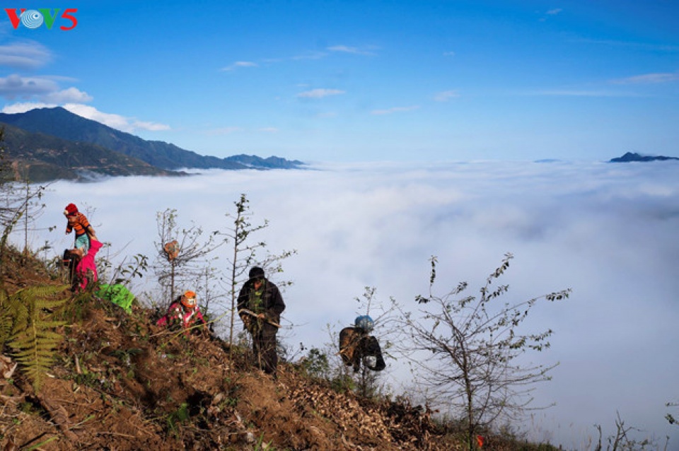 happiness felt in families in vietnam