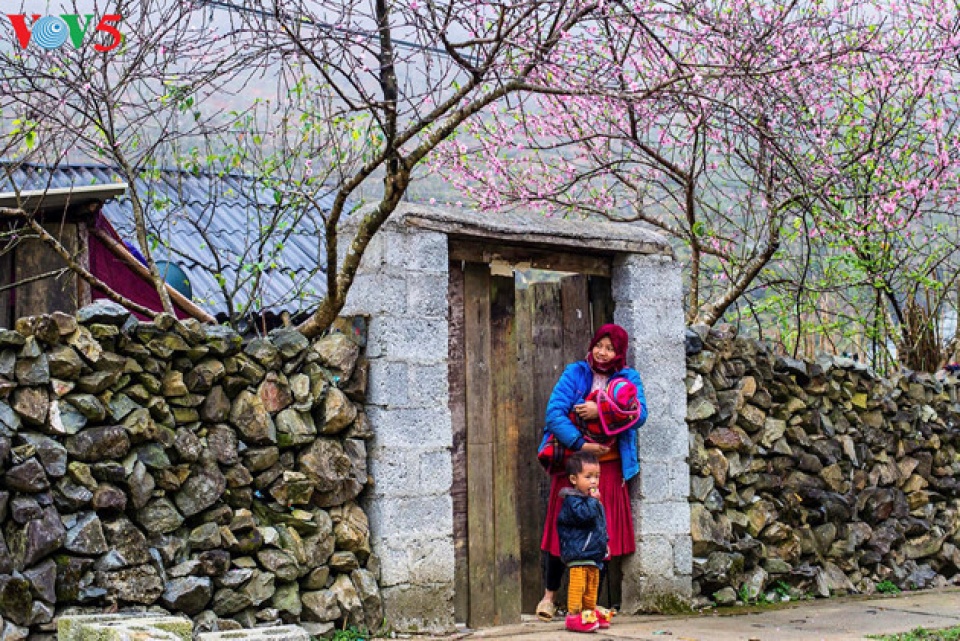 happiness felt in families in vietnam