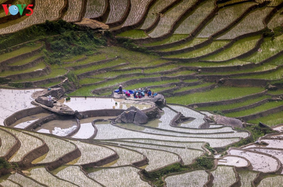 happiness felt in families in vietnam