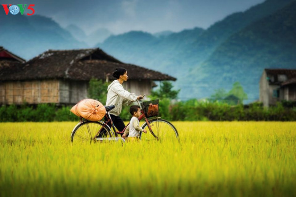 happiness felt in families in vietnam