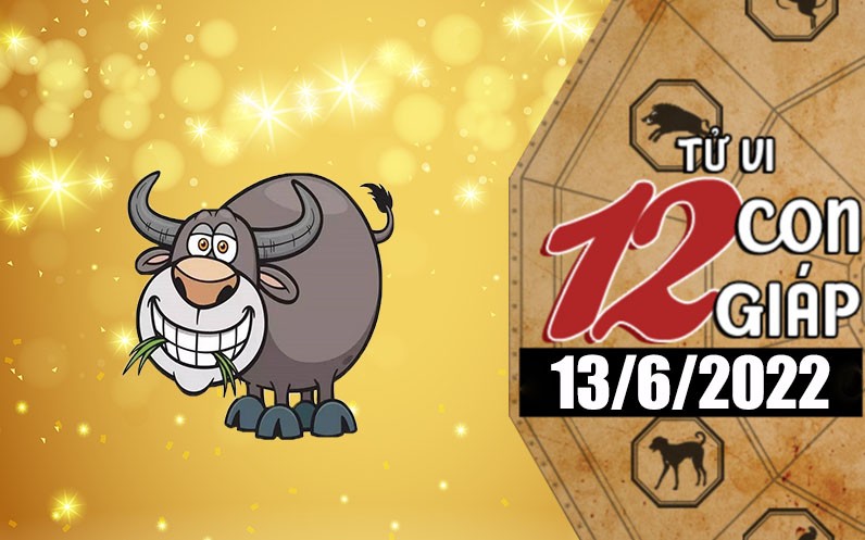 Tử vi hôm nay, xem tử vi 12 con giáp ngày 13/6/2022: Tuổi Sửu công việc nhiều may mắn