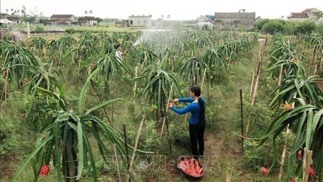 Ninh Bình phấn đấu trở thành tỉnh khá của khu vực Đồng bằng sông Hồng