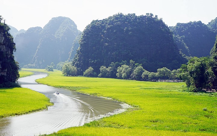 Cánh đồng lúa Tam Cốc bên dòng sông Ngô Đồng. (Ảnh: LÊ HỒNG)