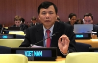Việt nam đại diện asean bày tỏ quan ngại về tình trạng trẻ em trong xung đột vũ trang