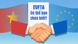 Trắc nghiệm về Hiệp định EVFTA - Có thể bạn chưa biết?