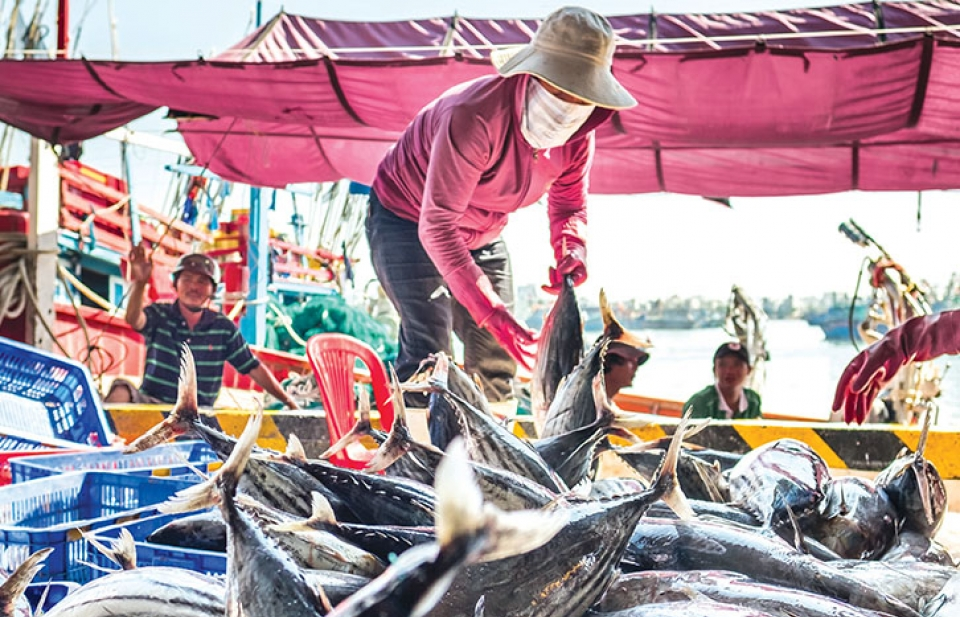 “Thẻ vàng” và nỗ lực của ngành thủy sản