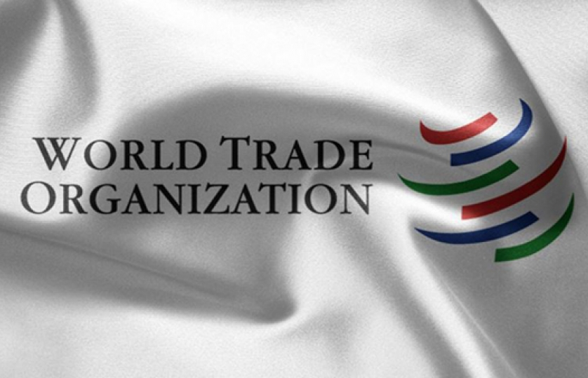 Trung Quốc ra lập trường 5 điểm về WTO