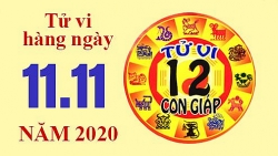 Tử vi hôm nay - Xem tử vi vui 12 con giáp ngày 11/11: Tình duyên tuổi Mão vướng đào hoa, tuổi Mùi tài chính tăng?