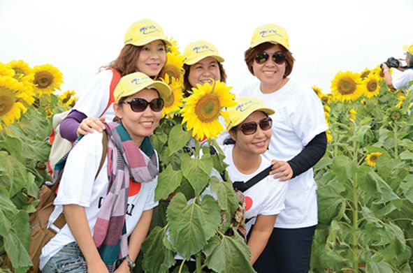 nghe an san sang cho le hoi hoa huong duong 2019