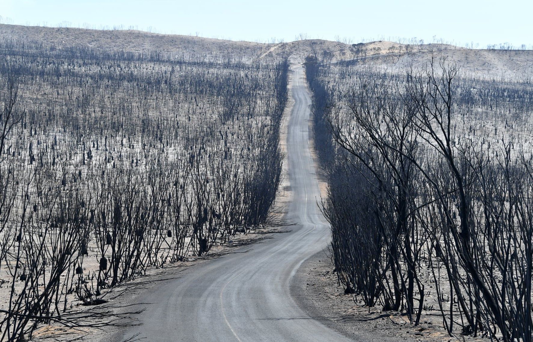 Quang cảnh hoang tàn ở đảo Kangaroo sau thảm họa cháy rừng